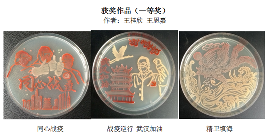 我校生科院师生在第七届全国青年科普创新实验暨作品大赛江苏赛区比赛中获佳绩