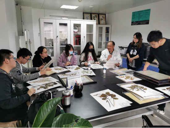 药学院本科生参与中药标本制作活动