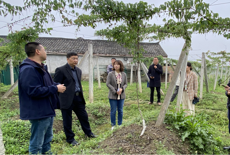 四川雅安国家农业科技园区管委会一行赴我校崇州八月瓜基地调研