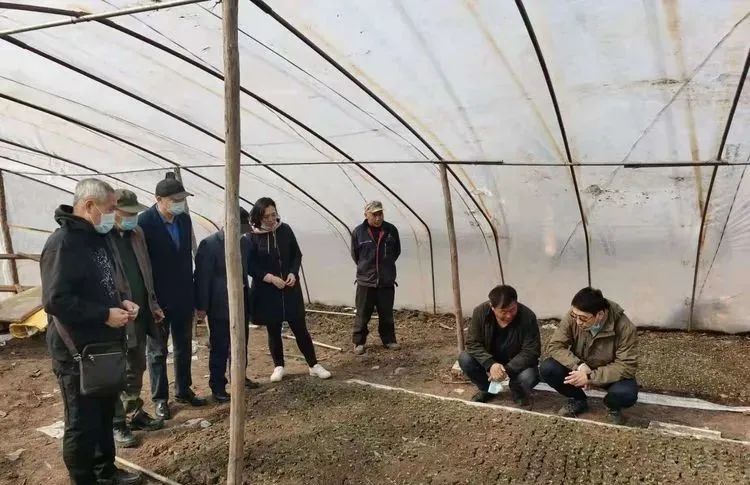 我校专家志愿参加科技助农文明实践活动