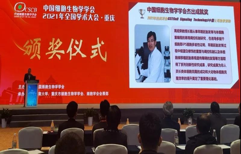 生命科学与技术学院高绍荣教授荣获中国细胞生物学学会“杰出成就奖”