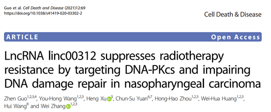中南大学张伟教授团队在Nature子刊CellDeath&Disease连续发表鼻咽癌放疗基因组学研究原创成果