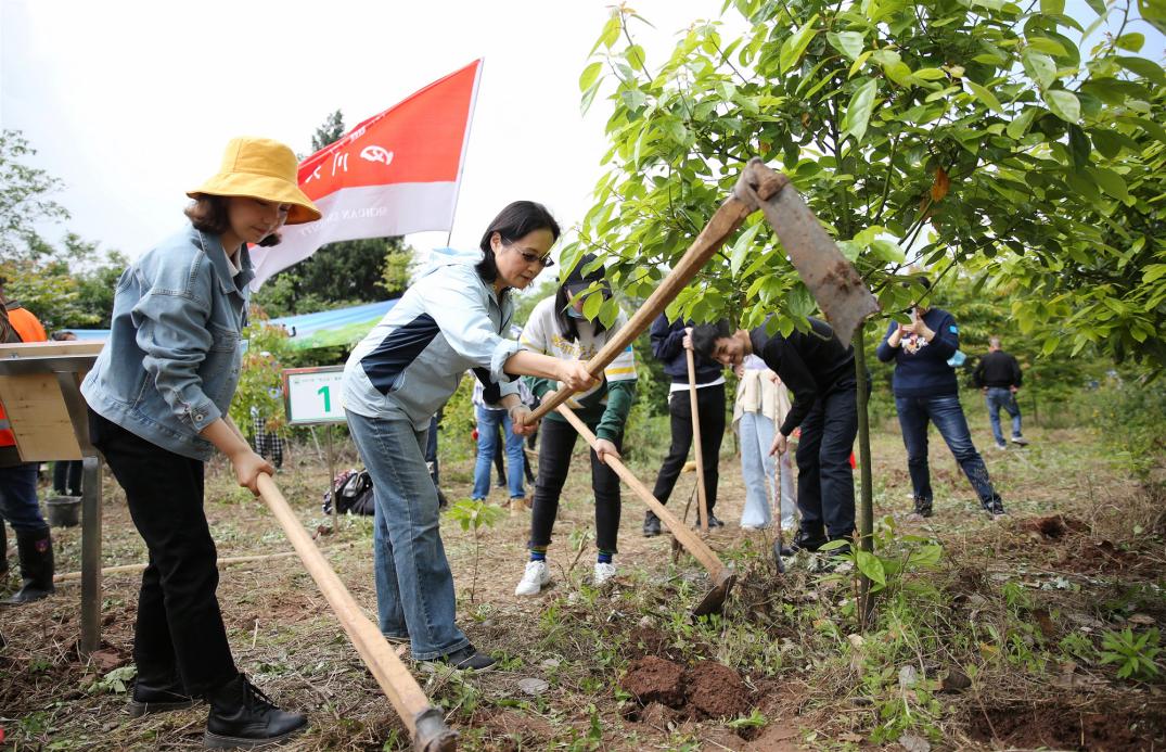 我校师生赴龙泉山城市森林公园义务植树