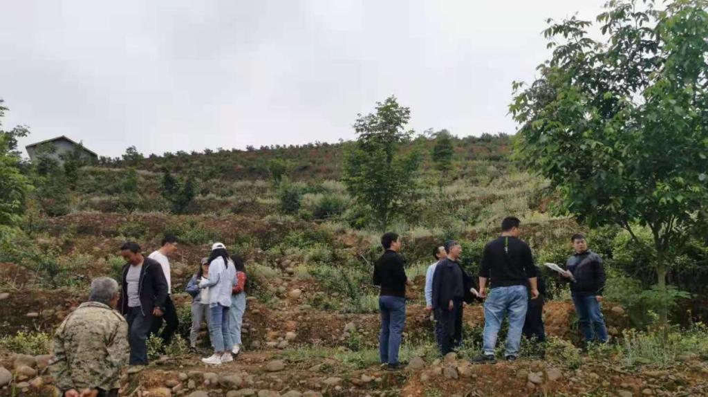 林学院专家前往夹江县开展科技服务