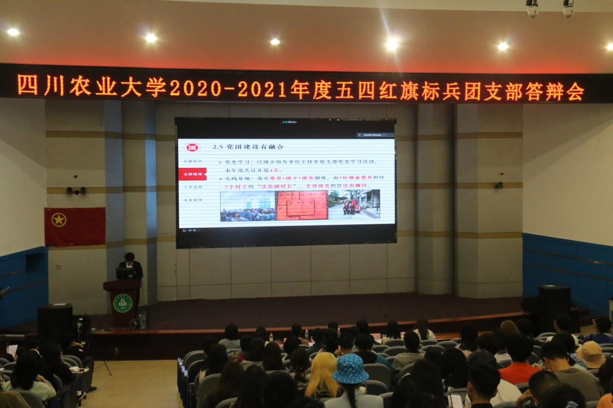 强基计划出实效标兵支部展风采