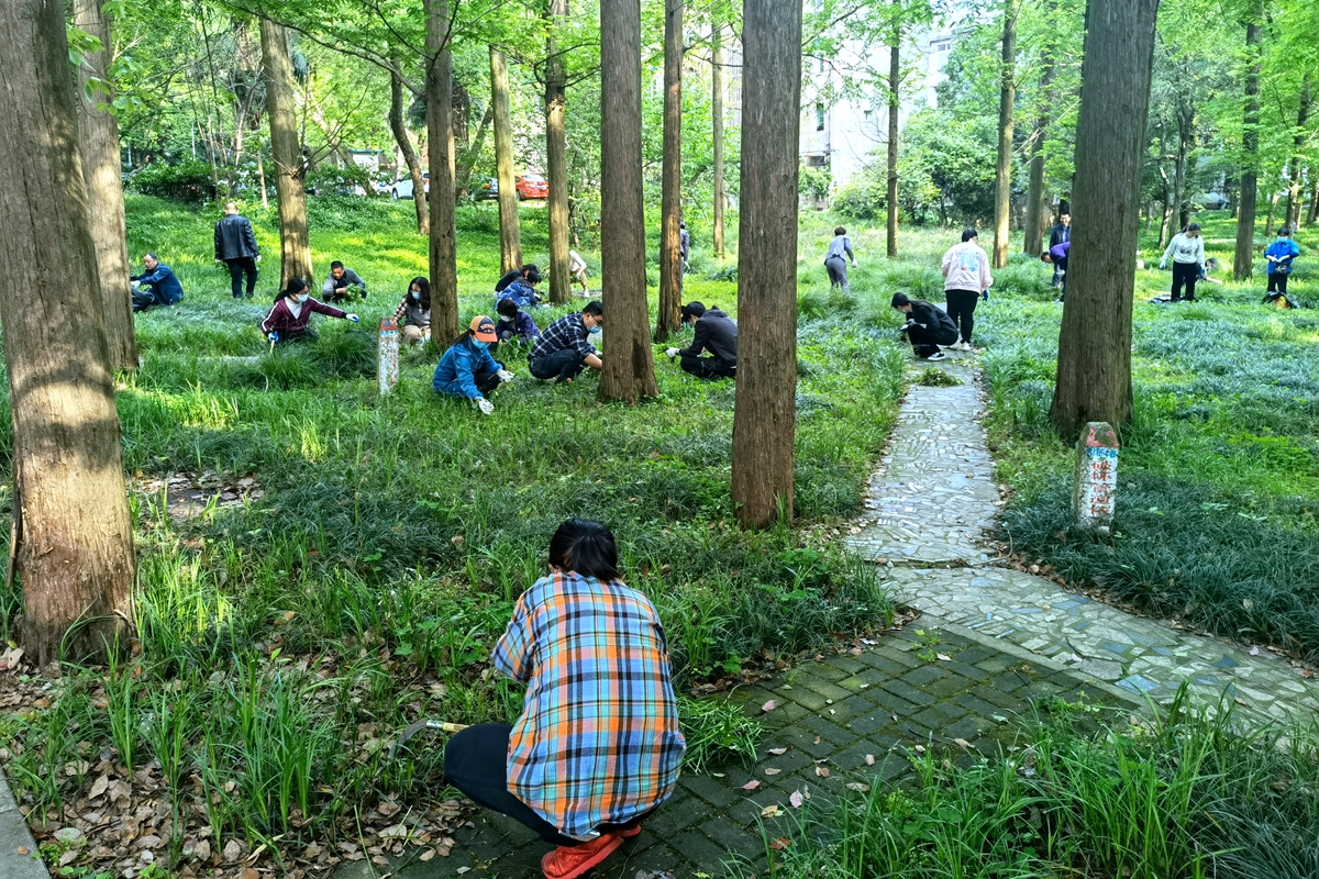 学校开展爱国卫生运动守护山水校园