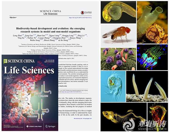 《中国科学生命科学》（英文版）刊发中国海大学者撰写生物多样性综述文章