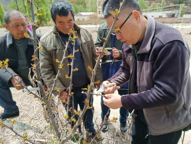 林学院专家龚伟教授等赴甘孜州开展“科技下乡万里行”