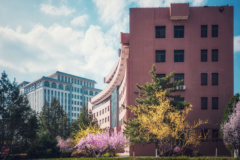 【光影延大】延安大学春景