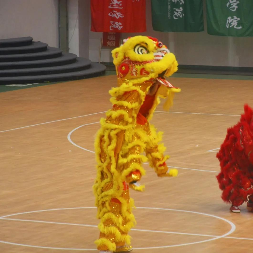 【图片新闻】《动起来》：以五动齐发配合五育并举