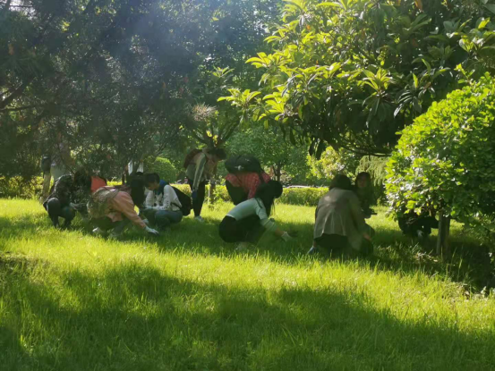 【文明校园创建专栏】爱卫会组织开展“整治环境卫生，创建文明校园”活动