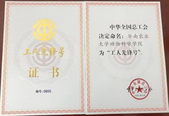 我校获“全国工人先锋号”等多项荣誉