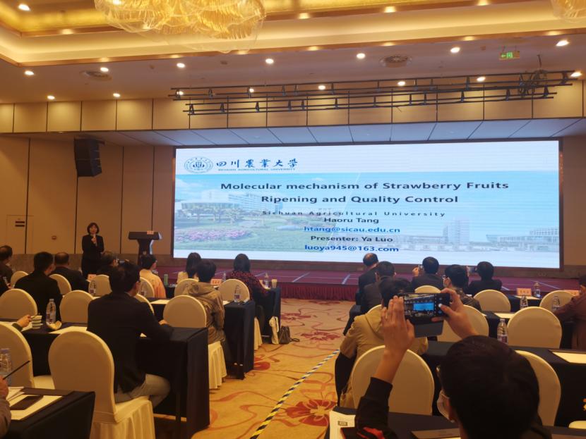 园艺学院专家受邀参加第九届世界草莓大会并作特邀报告