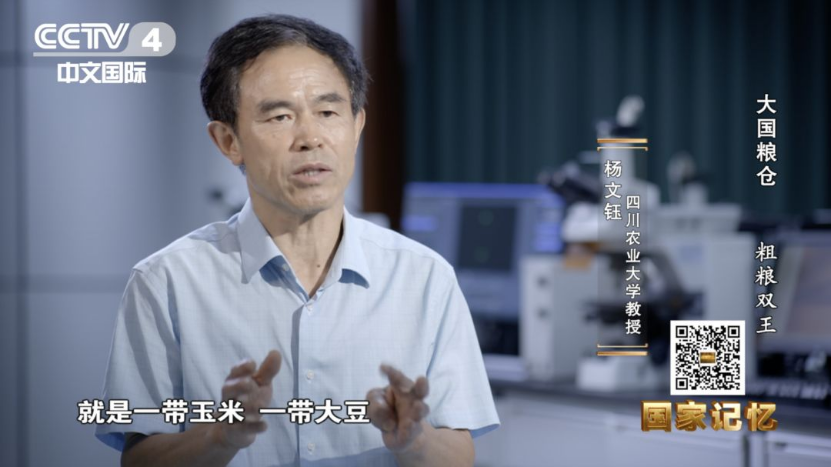 中央电视台报道我校玉米大豆带状复合种植技术