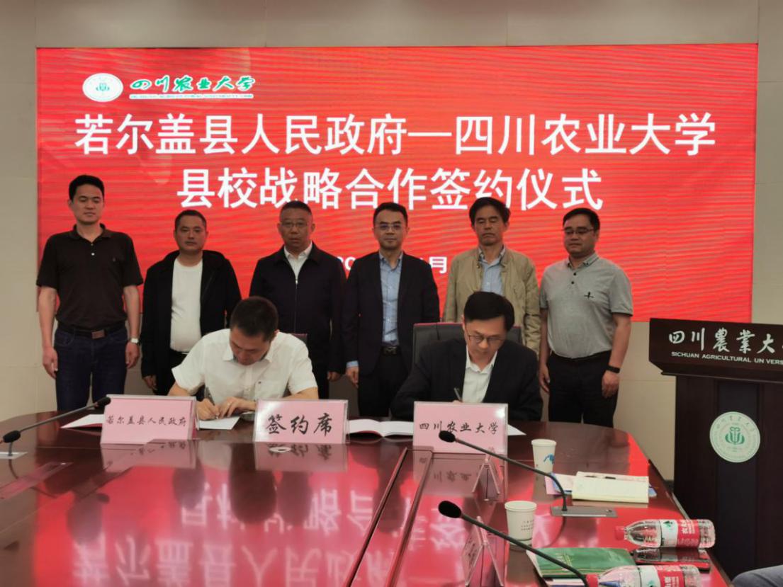 我校与若尔盖签订县校合作协议