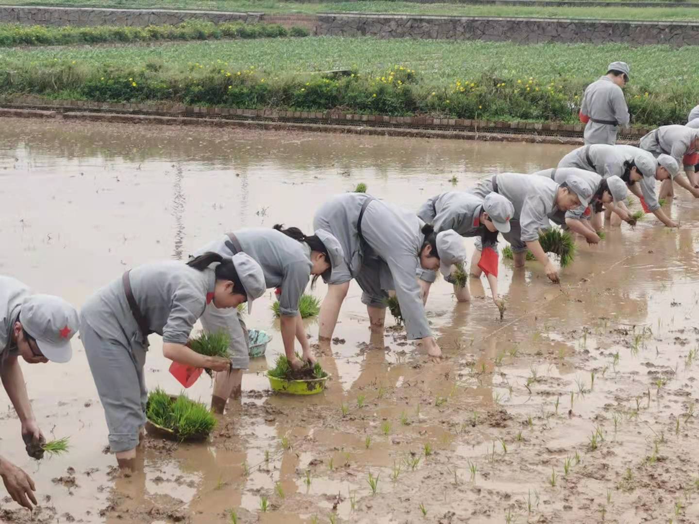 【党史学习进行时】环境学院与天府新区鹿林村党委联合开展“红色党