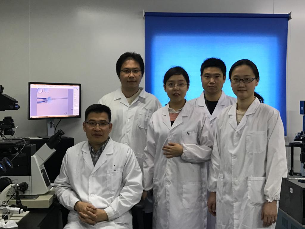 卓越研究生导学团队⑥|群雁高飞因头雁——记卓越研究生导学团队之高绍荣团队