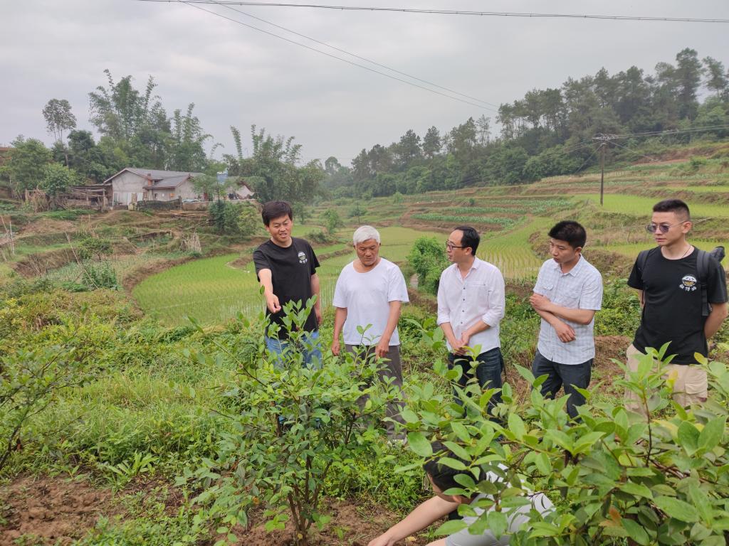我校油茶课题组赴隆昌市开展油茶产业科技服务