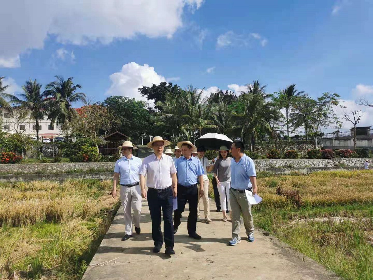 李召虎赴海南三亚、陵水推进校地合作