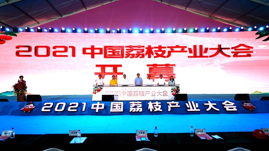 学校科技支撑荔枝产业高质量发展