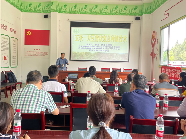 农学院教师赴仁寿县开展玉米—大豆带状复合种植技术培训