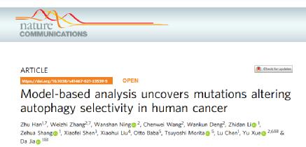 生命学院薛宇教授团队合作发现改变自噬选择性的癌症突变