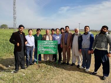 我校研发的新技术在巴基斯坦应用与研究取得显著成效