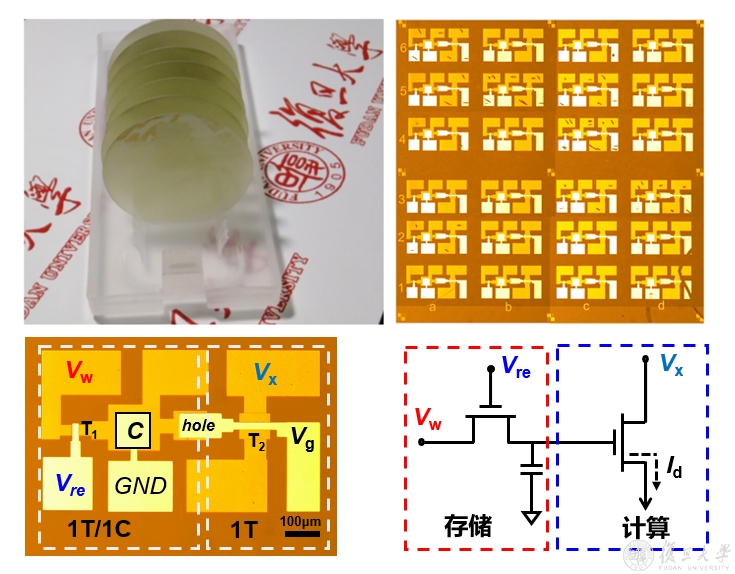 微电子学院团队基于晶圆级二维半导体实现存算融合器件突破