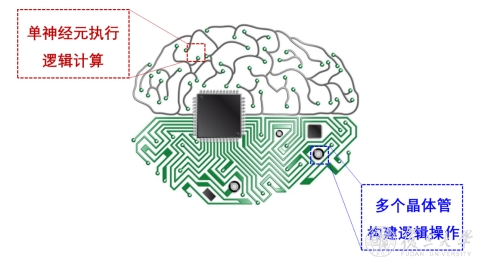 微电子学院周鹏团队合作研究发明可媲美脑计算的非线性新器件