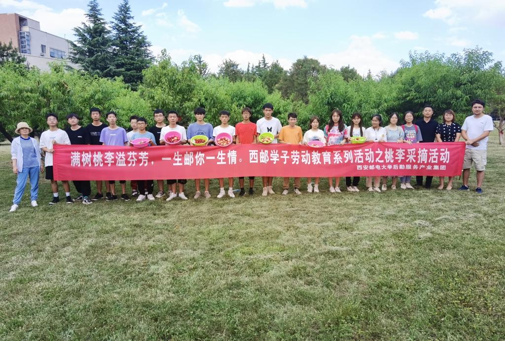 后勤服务产业集团、校团委联合举办桃李采摘活动