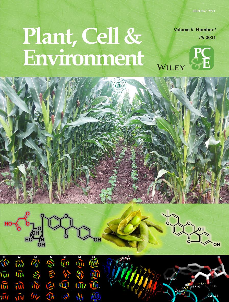 农学院研究团队揭示间套作变光环境提高大豆种荚霉变抗性的异黄酮代