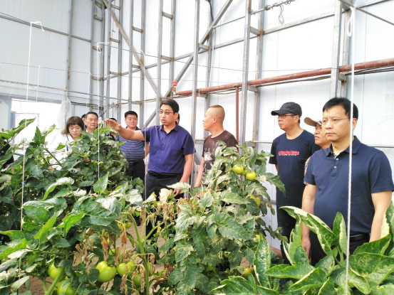 我校老科协专家到鹤岗市开展助农服务