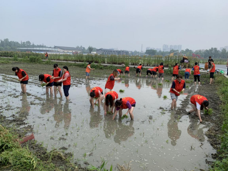 资源学院开展第31个“全国土地日”系列活动