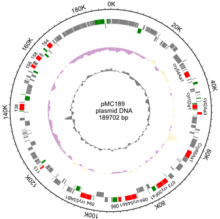 “十四五芽孢杆菌杀虫资源研究”全国青年学术研讨会在校举行