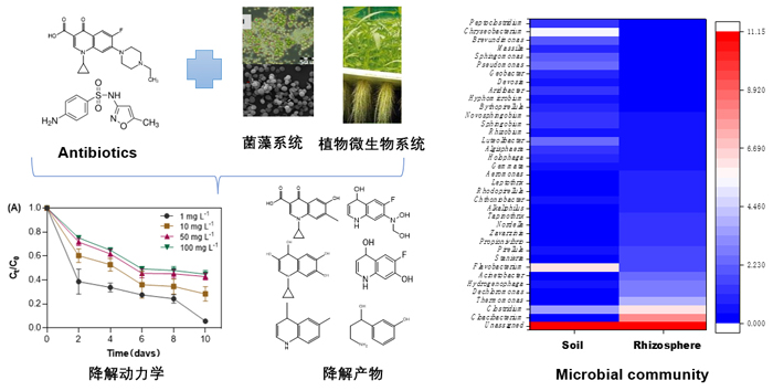 中国海洋大学在抗生素消减技术研究领域取得系列创新成果