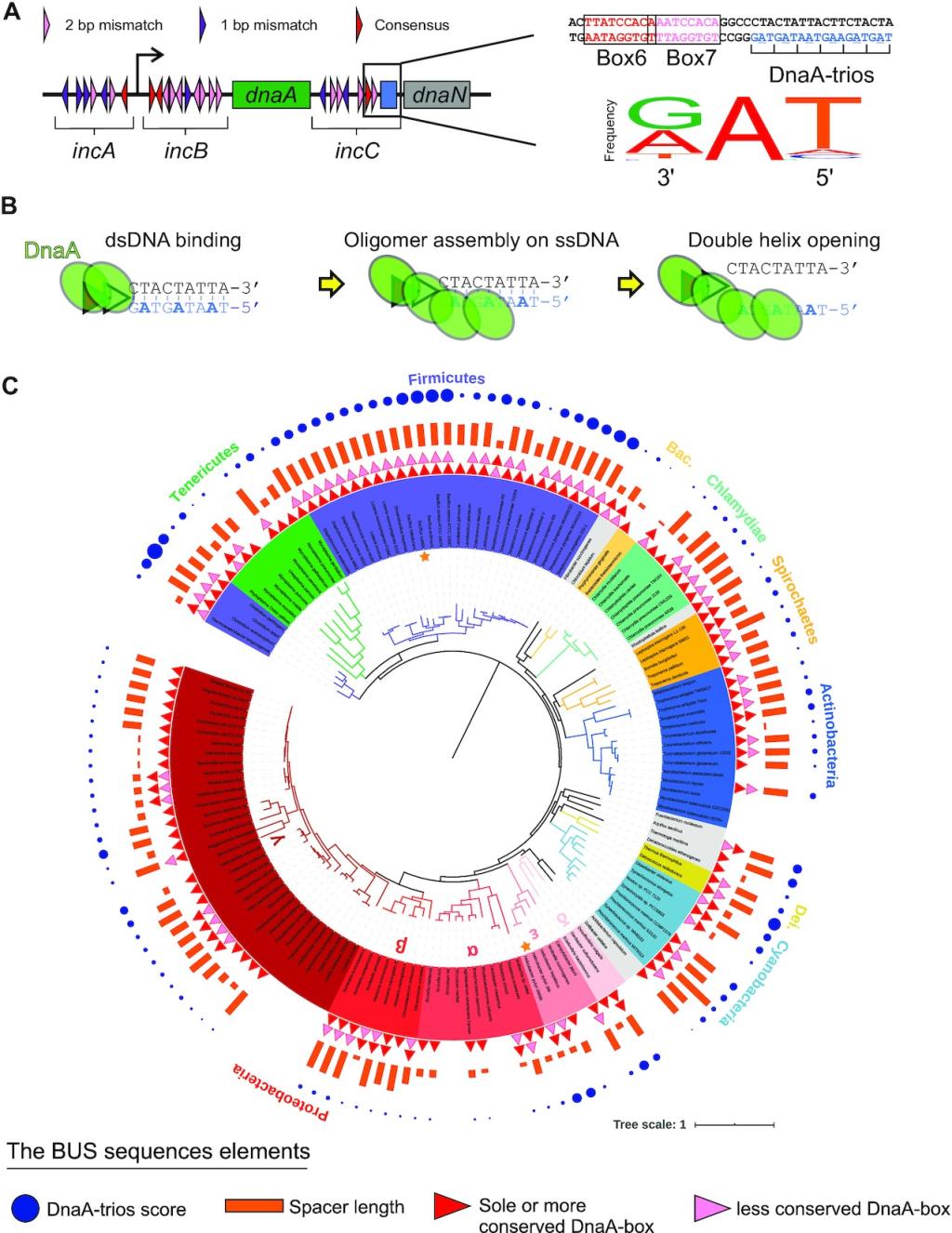 天津大学生物信息中心取得国际合作新进展