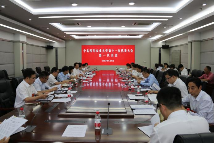 【直击党代会】第十一次党代会各代表团举行分组讨论