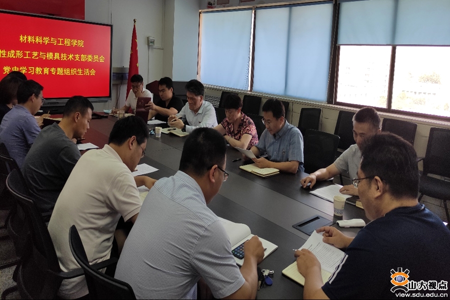 ［材料］模具所党支部召开党史学习教育专题组织生活会