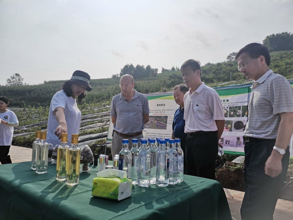 雅安市人大常委会副主任郑尚堃一行调研我校油茶科技创新示范基地