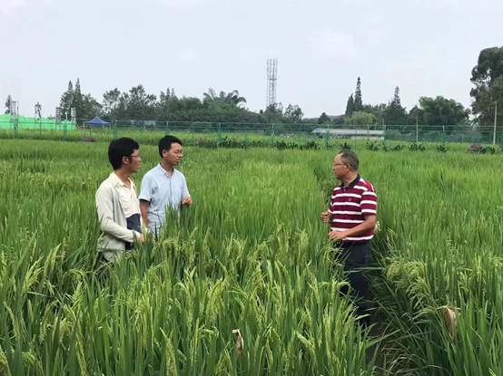 春风化雨润大品，继往开来迎新秀