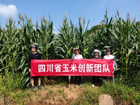 玉米所专家赴川南多地进行种养结合指导