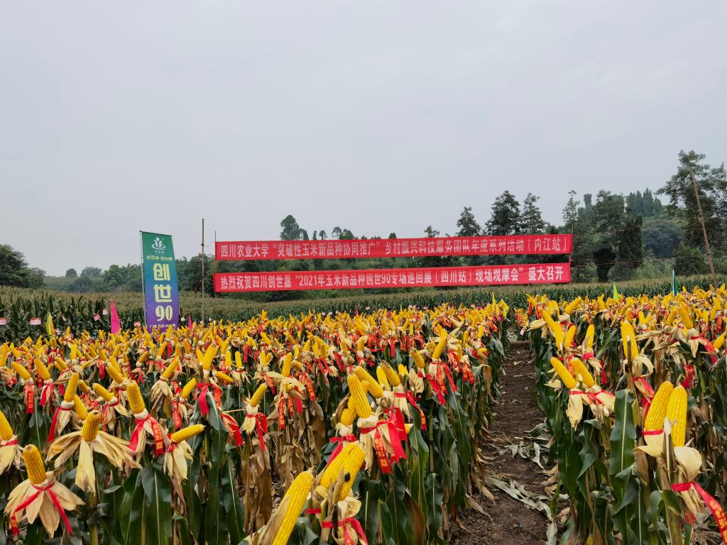 打赢种业翻身仗，我校乡村振兴科技服务团队在行动
