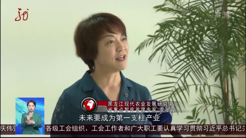 我校黑龙江省绿色食品科学研究院院长、党委书记李翠霞受邀解读黑龙江省委十二届九次全会精神