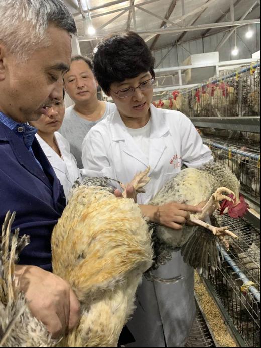 动科学院专家带队赴巴中开展畜禽种质资源保护工作