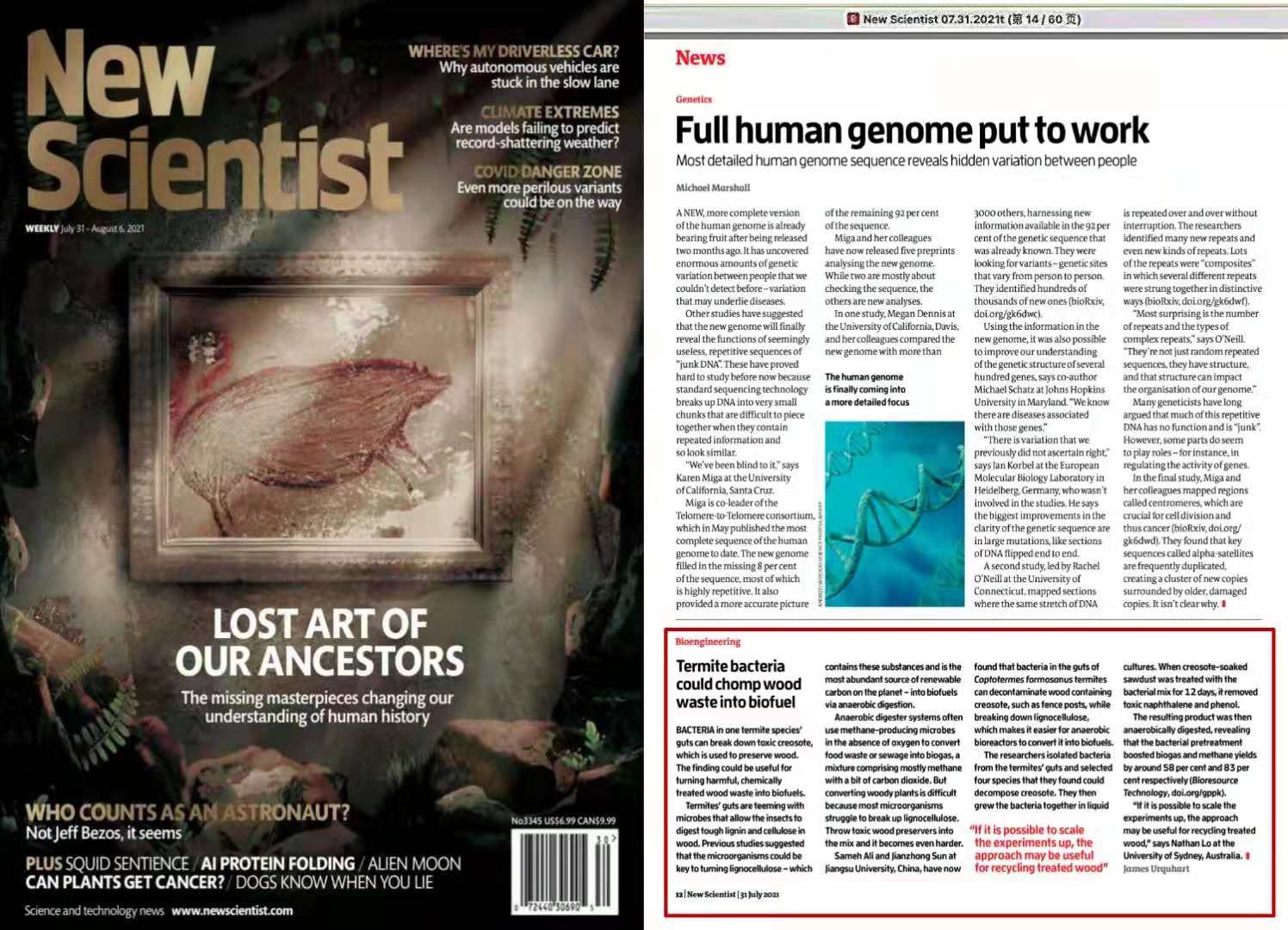 《NewScientist》专题报道孙建中团队科研成果