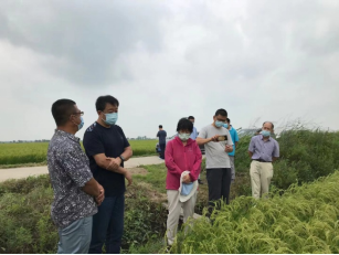 省老科协副会长冯晓一行到五常市东农专家科研基地“家家有稻农业生产合作社”考察