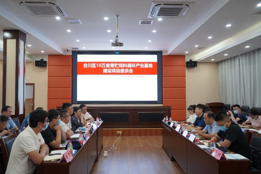 草业学院院长张新全教授率队指导青贮饲料循环产业