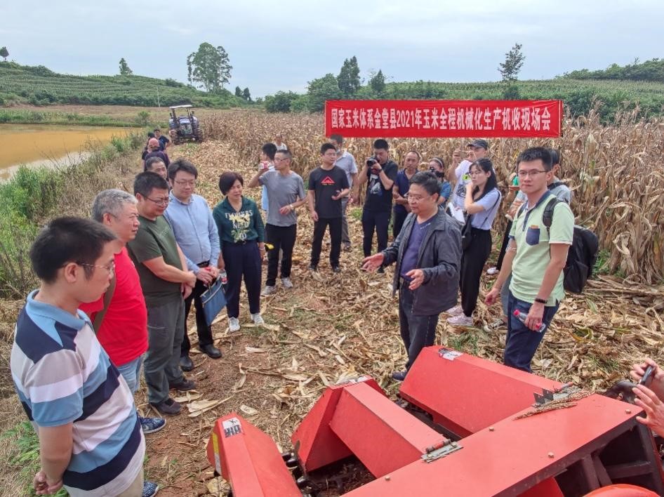 我校与金堂共建丘陵玉米全程机械化示范基地建设推进有力