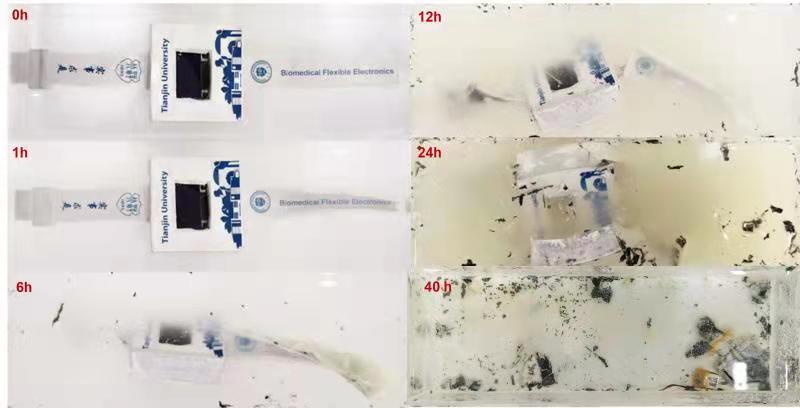 全球首款可溶解智能手表问世我校研发可溶性电子产品复合材料