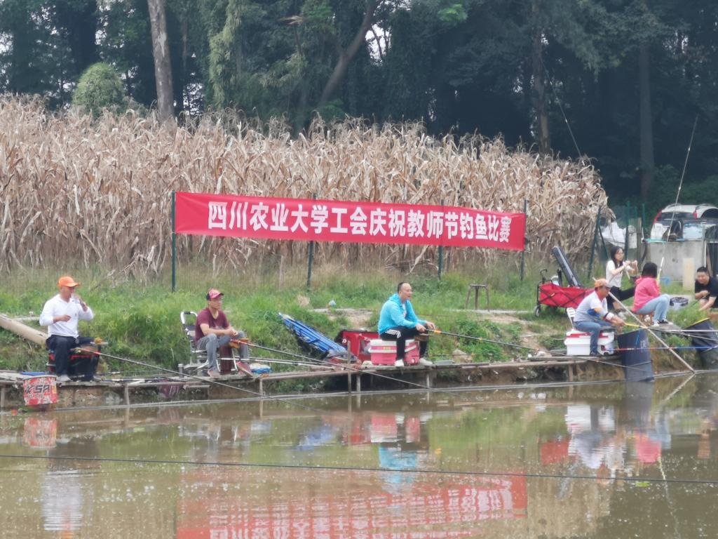 校工会开展教师节系列活动